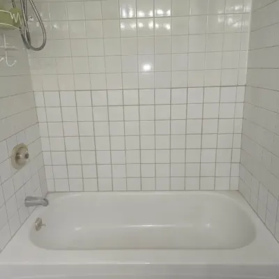 Tile Repair