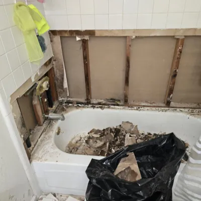 Tile Repair